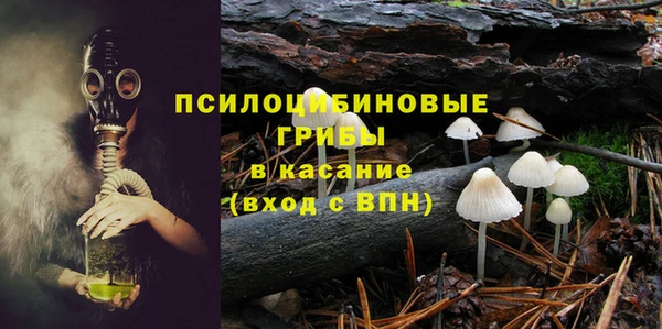 стафф Армянск
