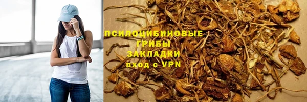 стафф Армянск